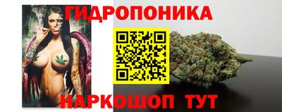 молекула духа Камышлов