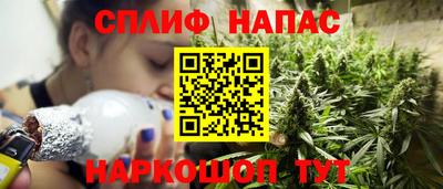 молекула духа Камышлов