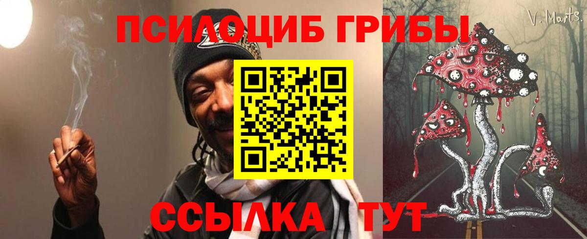 Псилоцибиновые грибы GOLDEN TEACHER Красноярск