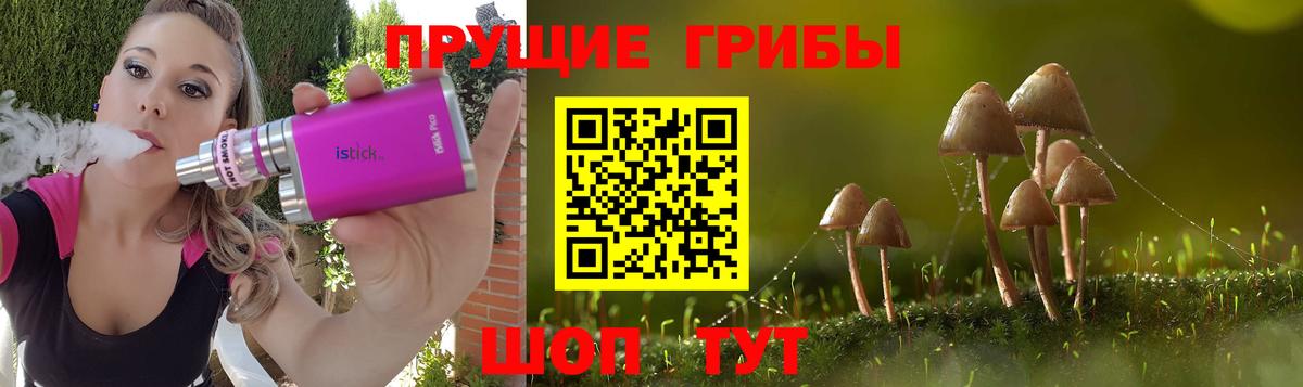 Псилоцибиновые грибы мицелий  Вход с VPN  Красноярск 